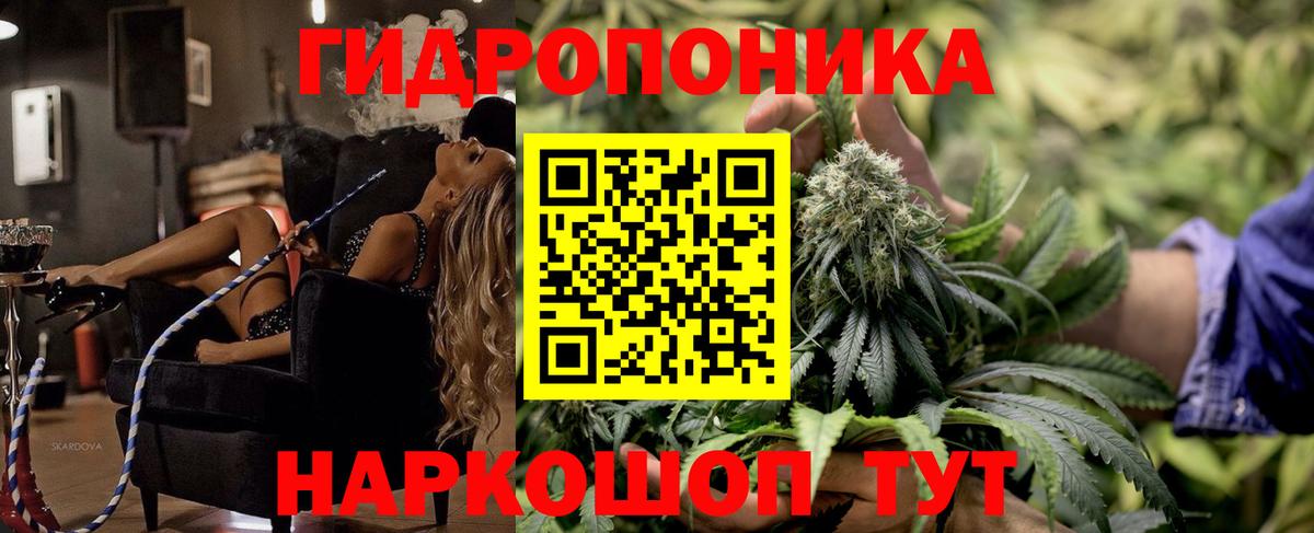 МАРИХУАНА конопля Пушкино